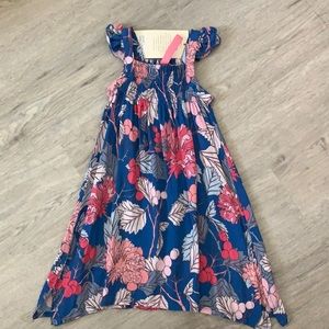 Cinnamon Girl dress NWT